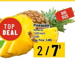 Mayrand Pineapple offer