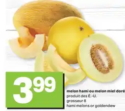 L'Intermarché MELON HAMI OU MELON MIEL DORÉ offer