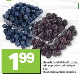 L'Intermarché BLEUETS, 6 OZ offer
