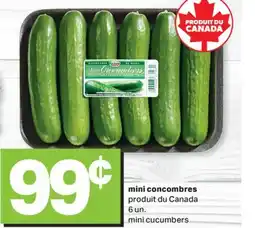 L'Intermarché MINI CONCOMBRES, 6 UN offer