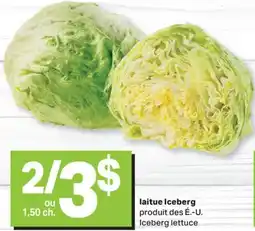 L'Intermarché LAITUE ICEBERG offer