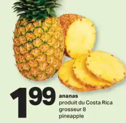 L'Intermarché ANANAS, GROSSEUR 8 offer