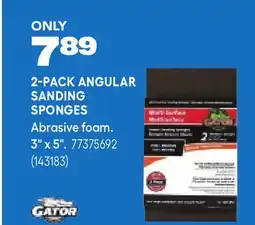 RONA 2-PACK ANGULAR SANDING SPONGES Abrasive foam. 3 x 5 offer