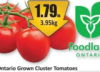 Starsky Ontario Grown Cluster Tomatoes offer