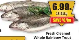 Starsky Fresh Cleaned Whole Rainbow Trout offer