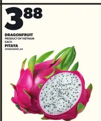 Independent City Market DRAGONFRUIT offer