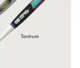 Sport Chek EASTON SYNERGY OR TANTRUM SLOWPITCH BAT offer