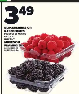 Independent City Market BLACKBERRIES OR RASPBERRIES offer
