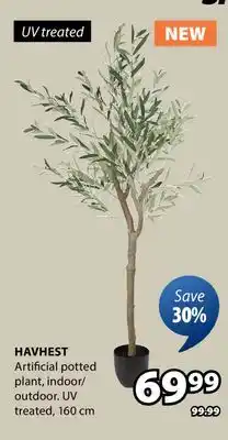JYSK HAVHEST Artificial potted plant offer