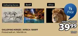 JYSK GALLOPING HORSES / AFRICA / BANFF Printed wall art offer