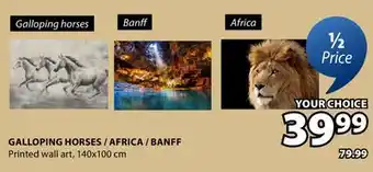 JYSK GALLOPING HORSES / AFRICA / BANFF Printed wall art offer