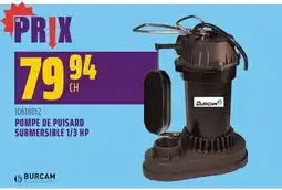 Gagnon - La Grande Quincaillerie POMPE DE PUISARD SUBMERSIBLE 1/3 HP BURCAM offer