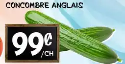 Marche Salaberry CONCOMBRE ANGLAIS offer