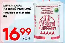 Marche Salaberry ELEPHANT AAAAA RIZ BRISÉ PARFUMÉ offer