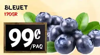 Marche Salaberry BLEUET offer