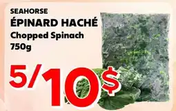 Marche Salaberry SEAHORSE ÉPINARD HACHÉ offer