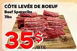 Marche Salaberry CÔTE LEVÉE DE BOEUF offer