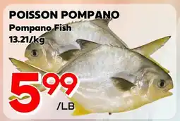 Marche Salaberry POISSON POMPANO offer