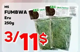 Marche Salaberry MS FUMBWA offer