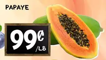 Marche Salaberry PAPAYE offer