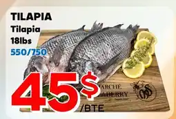 Marche Salaberry TILAPIA offer