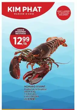 Kim Phat LIVE LOBSTER offer