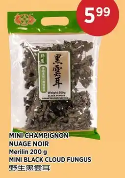Kim Phat Merilin MINI BLACK CLOUD FUNGUS offer