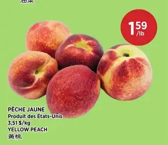 Kim Phat YELLOW PEACH offer