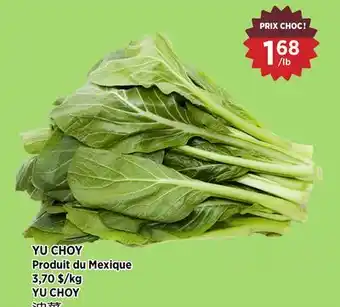Kim Phat YU CHOY offer