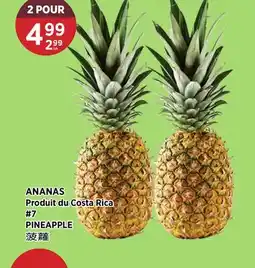 Kim Phat PINEAPPLE offer
