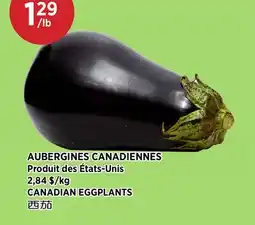 Kim Phat CANADIAN EGGPLANTS offer
