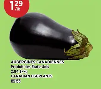 Kim Phat CANADIAN EGGPLANTS offer