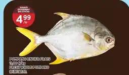 Kim Phat FRESH WHOLE POMPANO offer