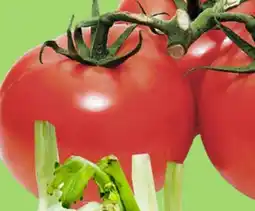 Kim Phat VINE TOMATO offer