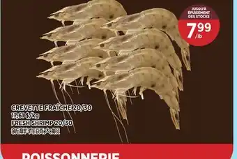 Kim Phat FRESH SHRIMP 20/30 offer