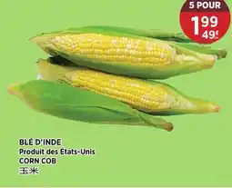 Kim Phat CORN COB offer