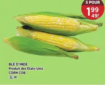 Kim Phat CORN COB offer