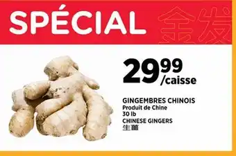 Kim Phat CHINESE GINGERS offer