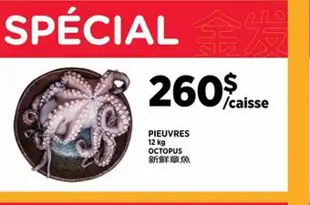 Kim Phat OCTOPUS offer