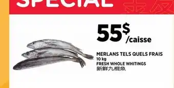 Kim Phat FRESH WHOLE WHITINGS offer
