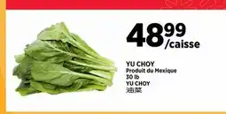 Kim Phat YU CHOY offer