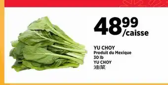 Kim Phat YU CHOY offer
