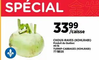 Kim Phat TURNIP-CABBAGES (KOHLRABI) offer