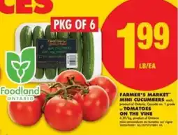 No Frills Farmer's Market Mini Cucumbers or Tomatoes on the Vine offer