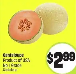 FreshCo Cantaloupe offer