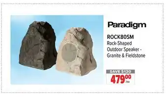 2001 Audio Video ROCK80SM Paradigm Rock-Shaped Outdoor Speaker-Granite & Fieldstone offer