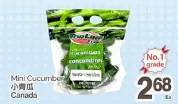 T&T Supermarket MINI CUCUMBER offer