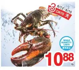 T&T Supermarket SEAFOOD offer