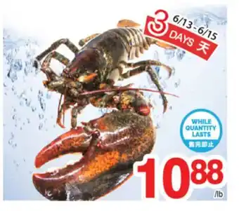 T&T Supermarket SEAFOOD offer