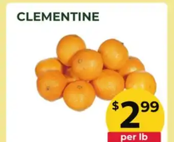 Food World Supermarket CLEMENTINE offer